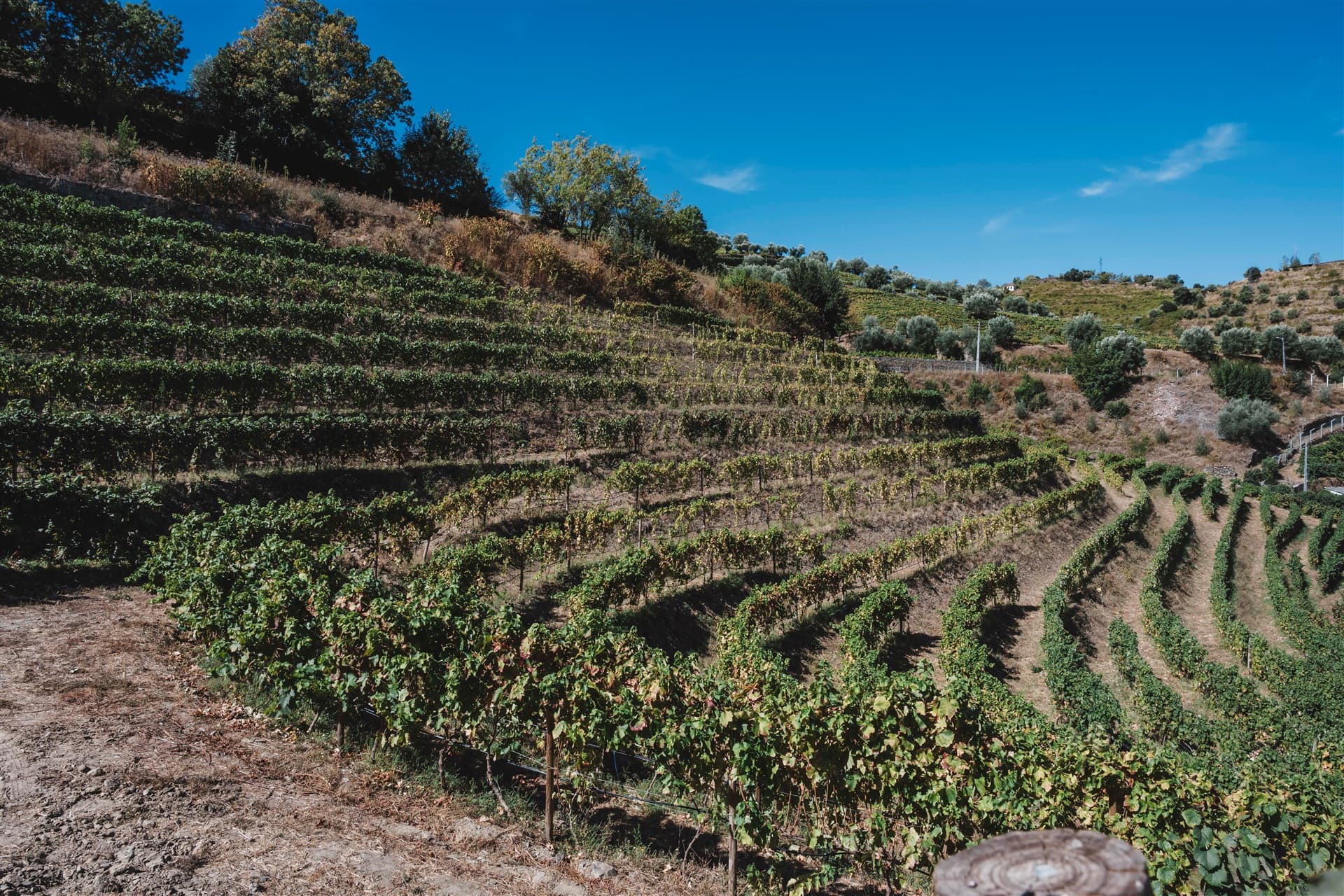 Lamego, Portugal