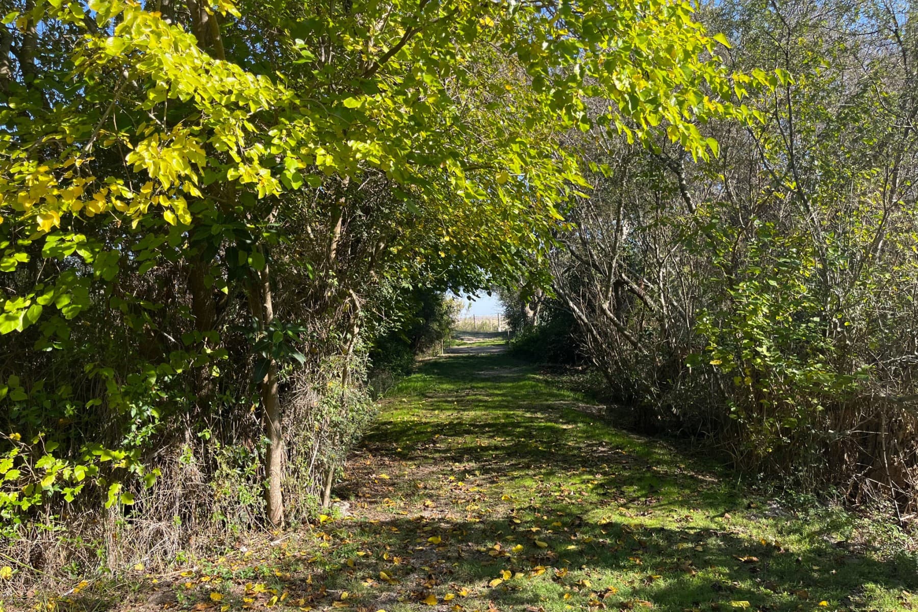 Colonia, Uruguay