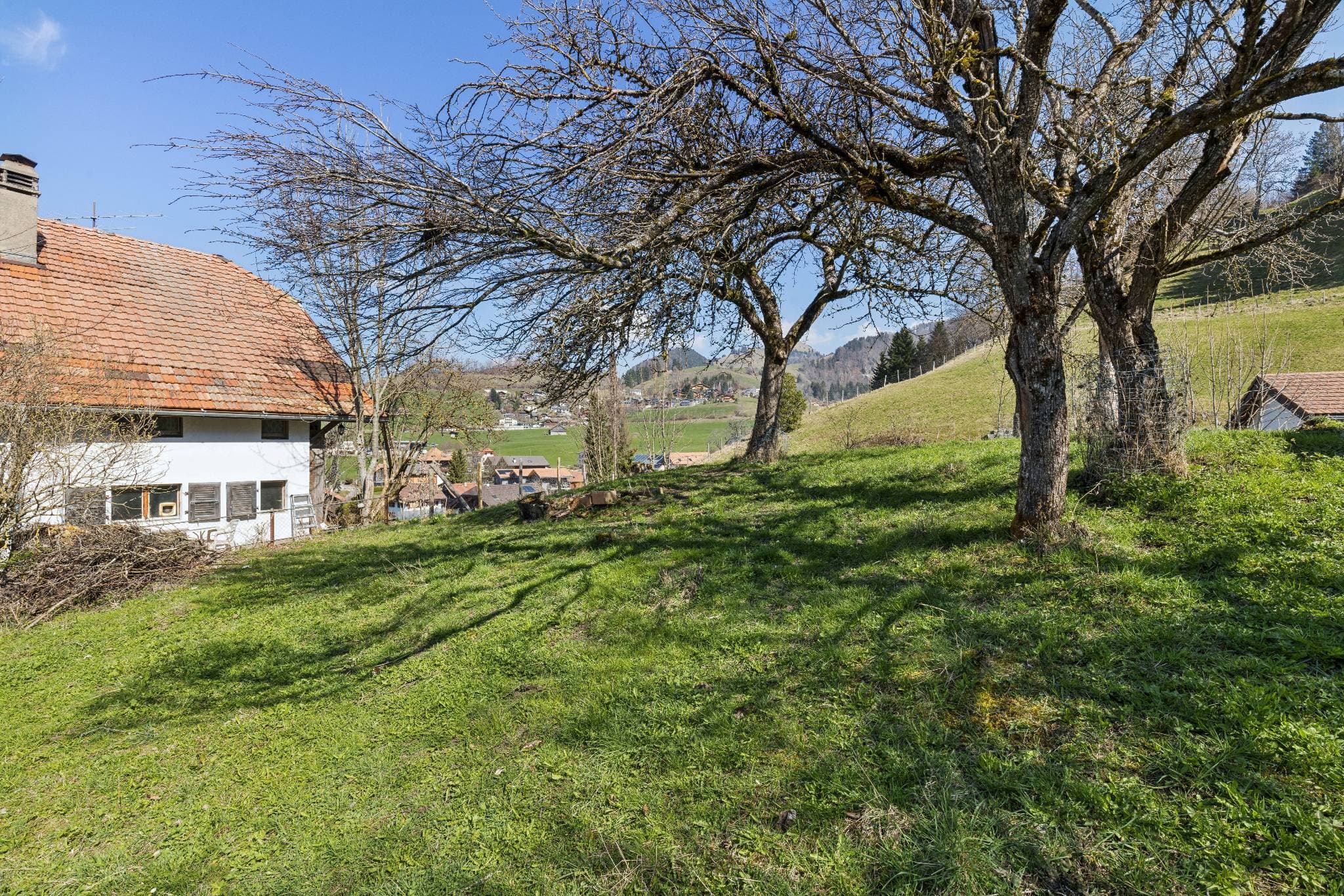 der Garten